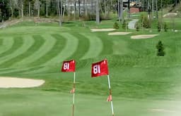 Course Image 1