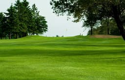 Course Image 3