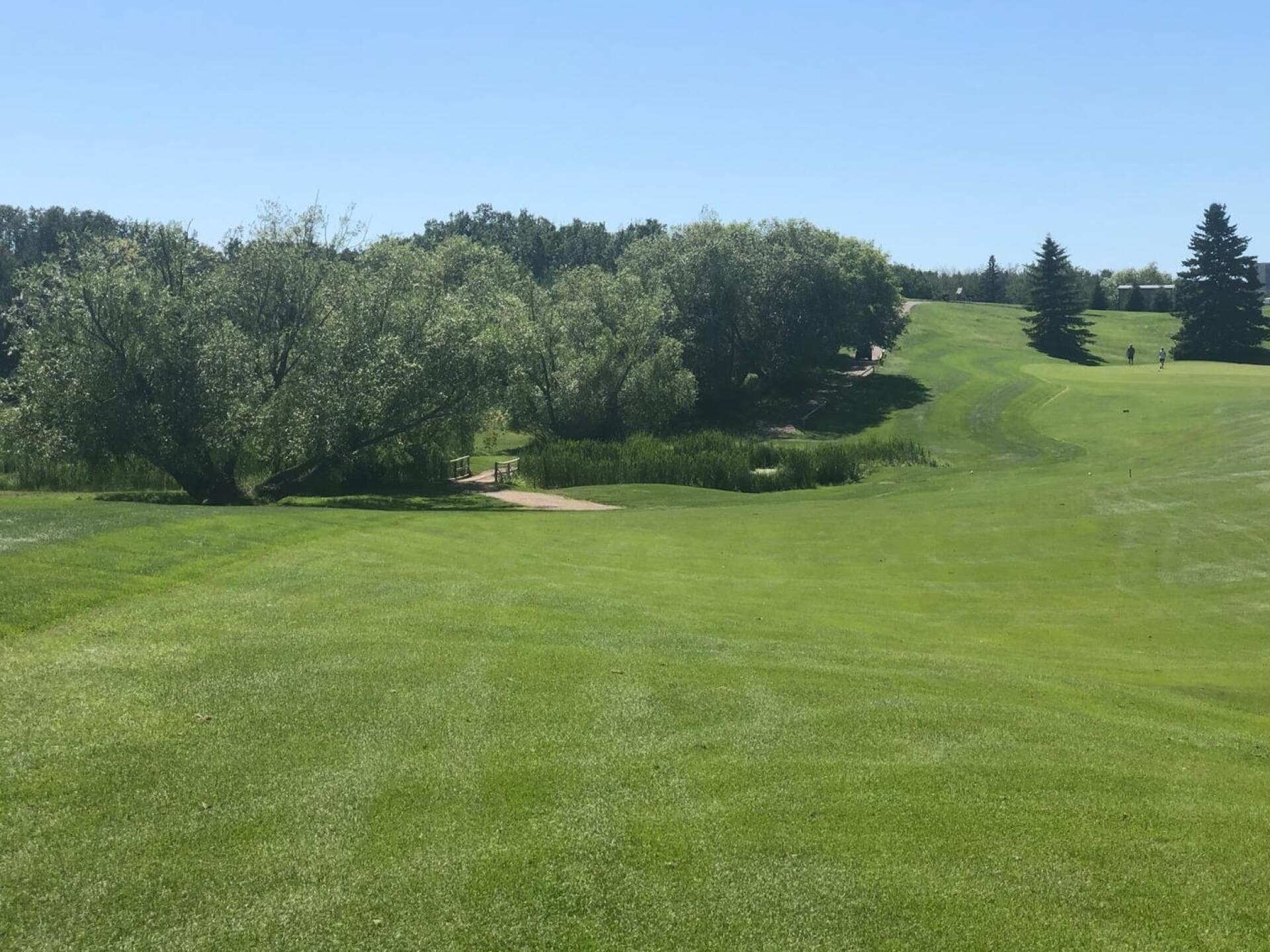 Maple Creek Golf Club — photo 2