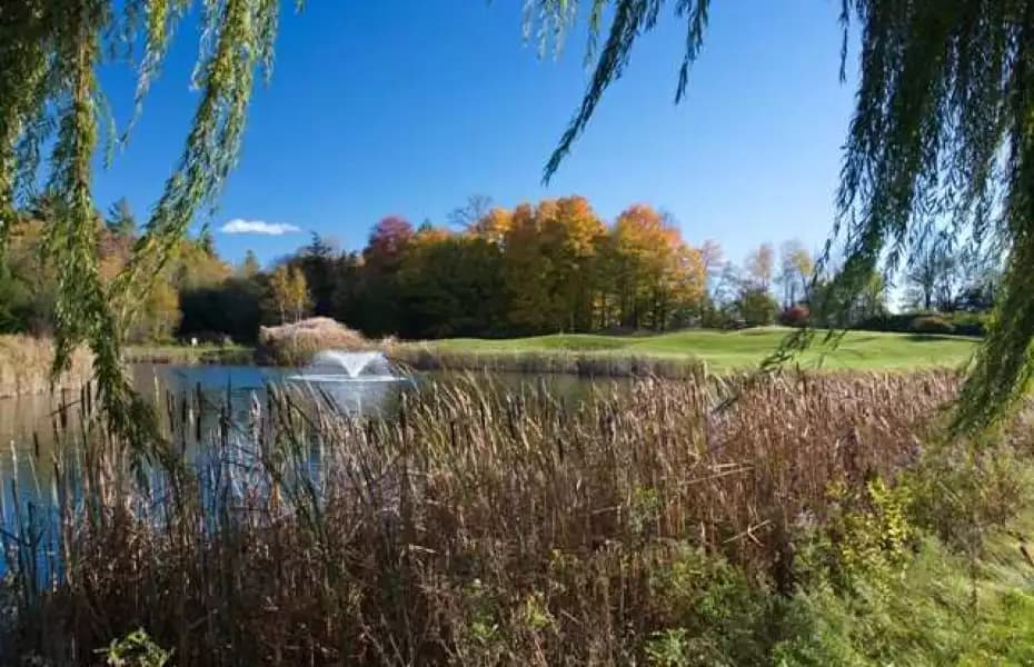 Meadowbrook Golf & Country Club — photo 2