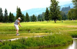 Course Image 1