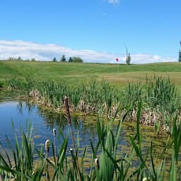 Course Image 1