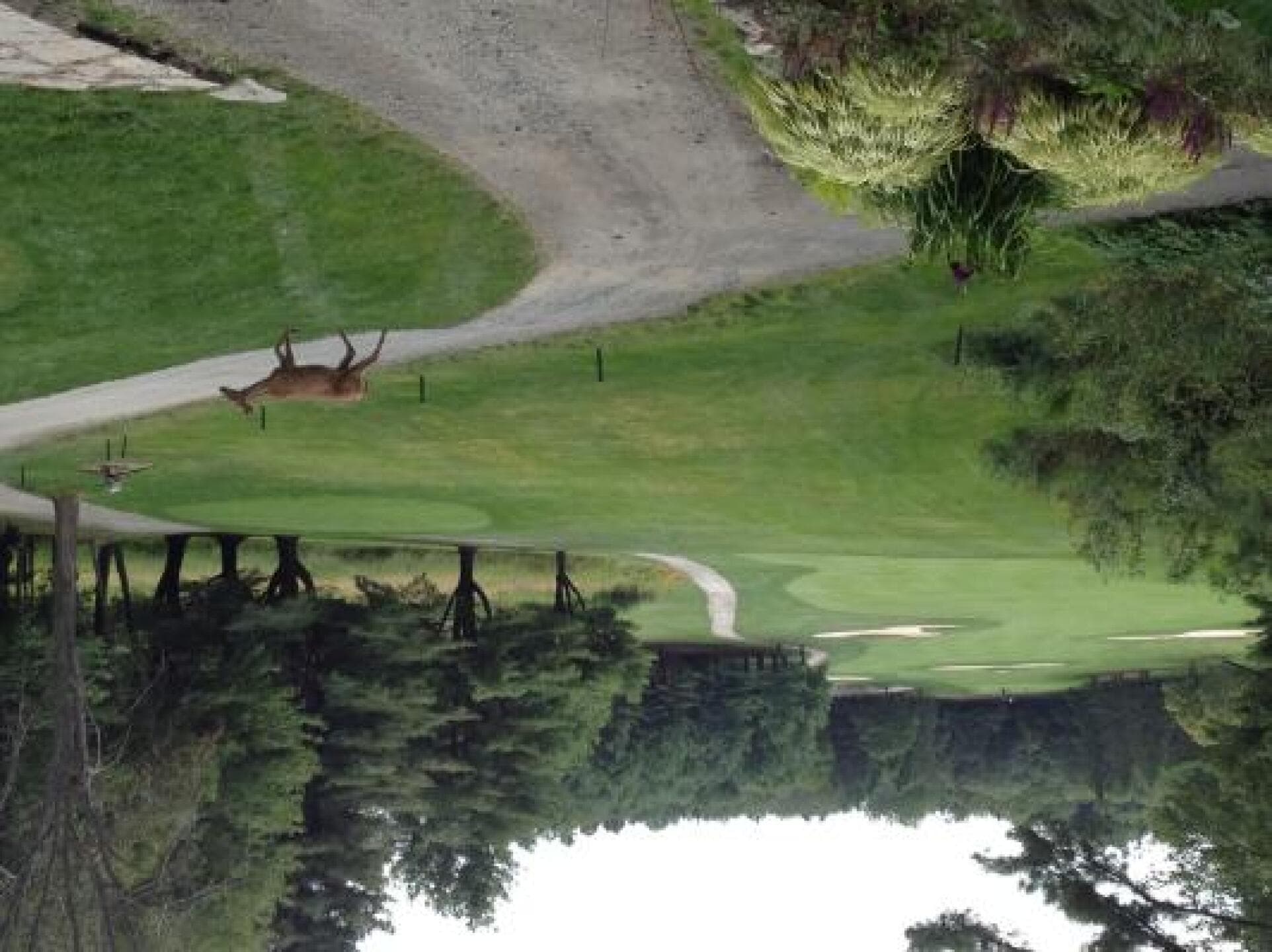 Parry Sound Golf & Country Club — photo 1
