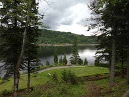 Course Image 4