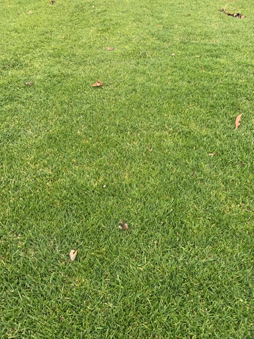 Ridgetown Golf & Curling Club — photo 1