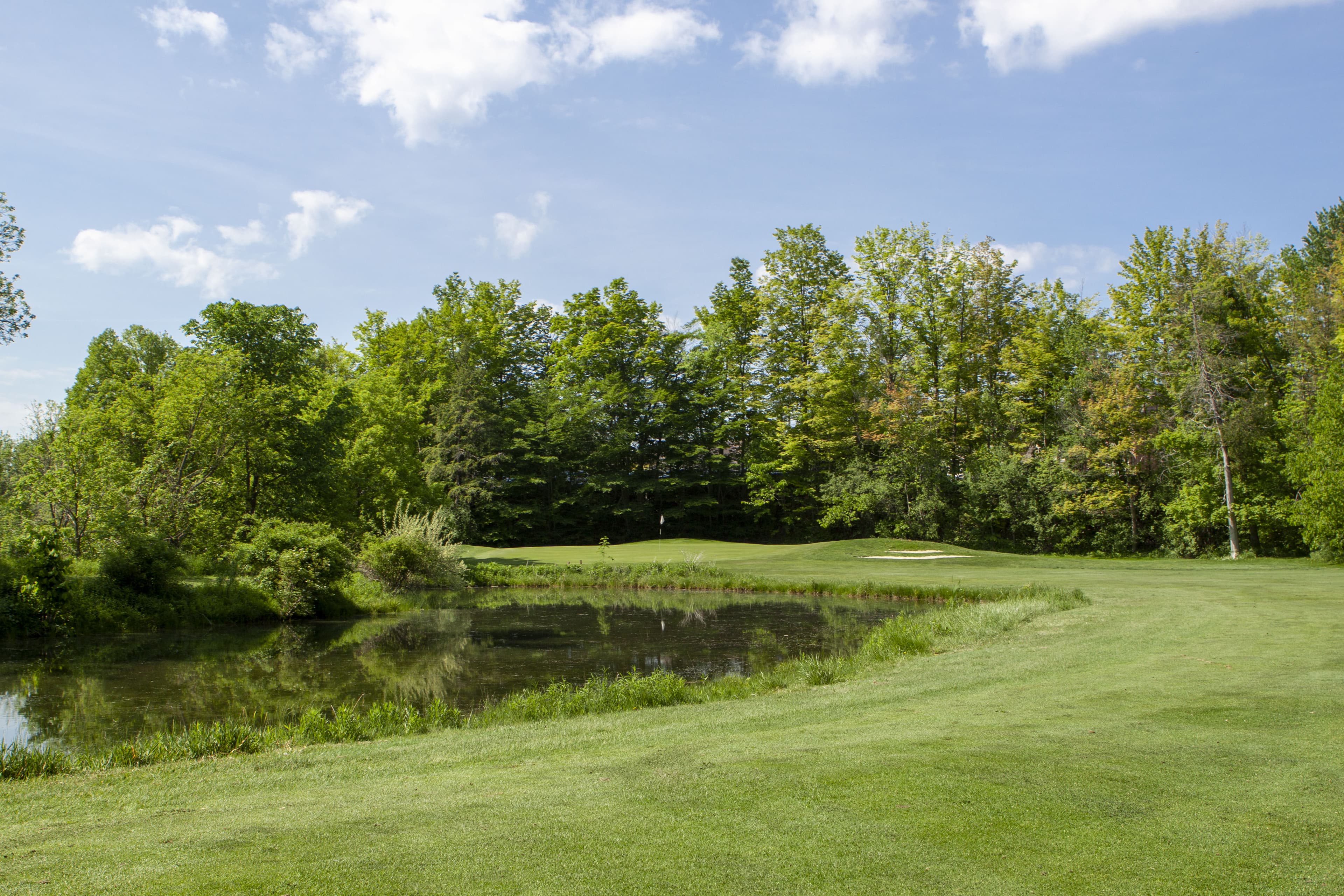 Riverside Golf Club — photo 2