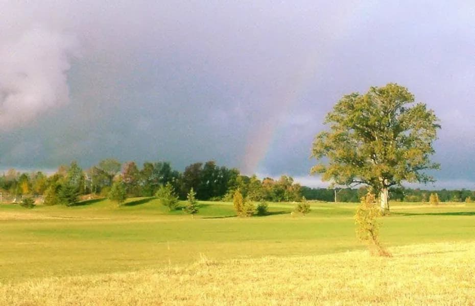 Sand Hills Golf Resort — photo 3