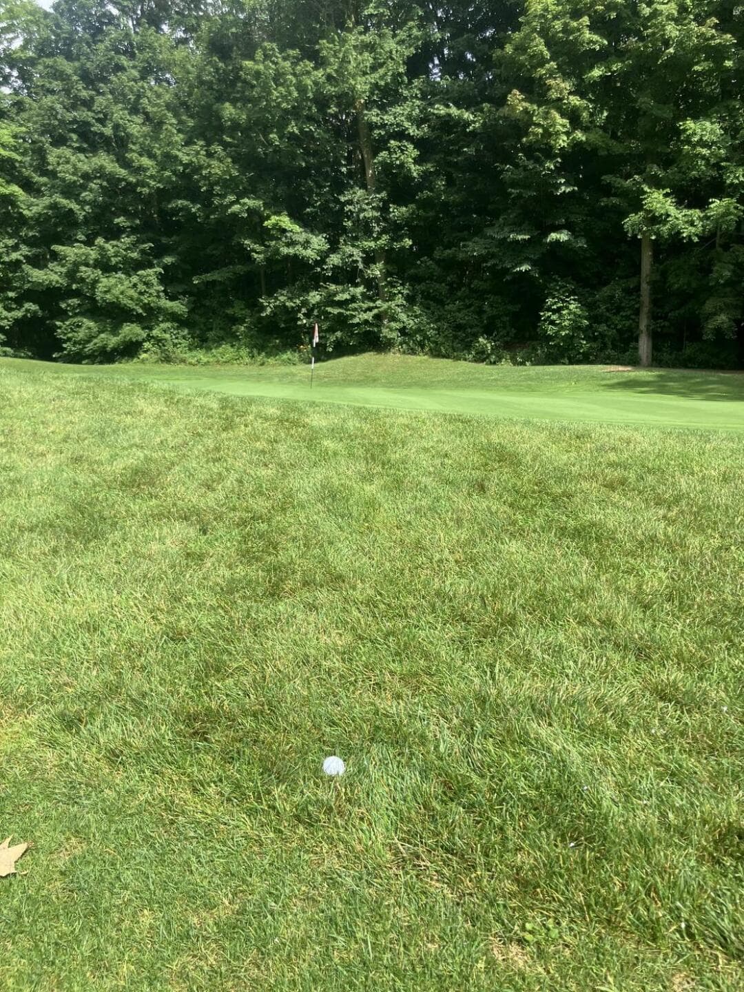 Seaforth Golf Course — photo 3