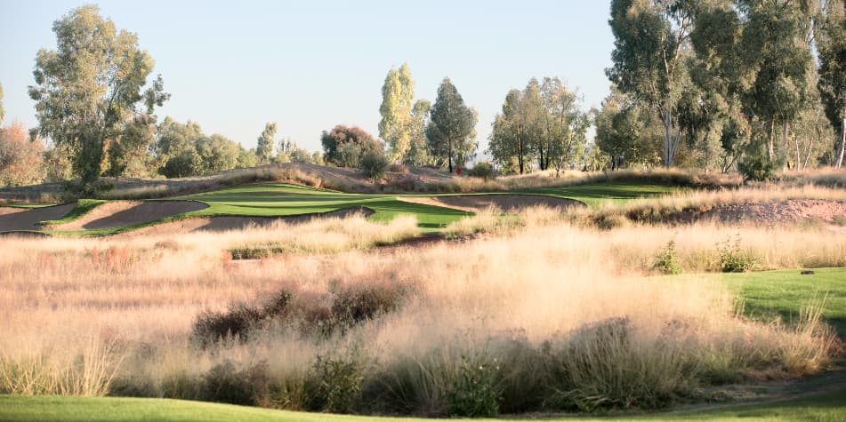 Ak-Chin Southern Dunes Golf Club — photo 3