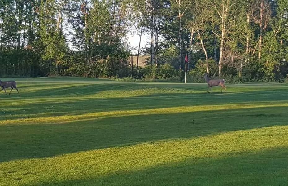 Silver Lake Golf Club golf course