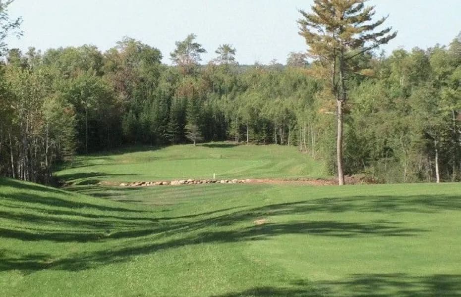 The Links at Penn Hills — photo 2