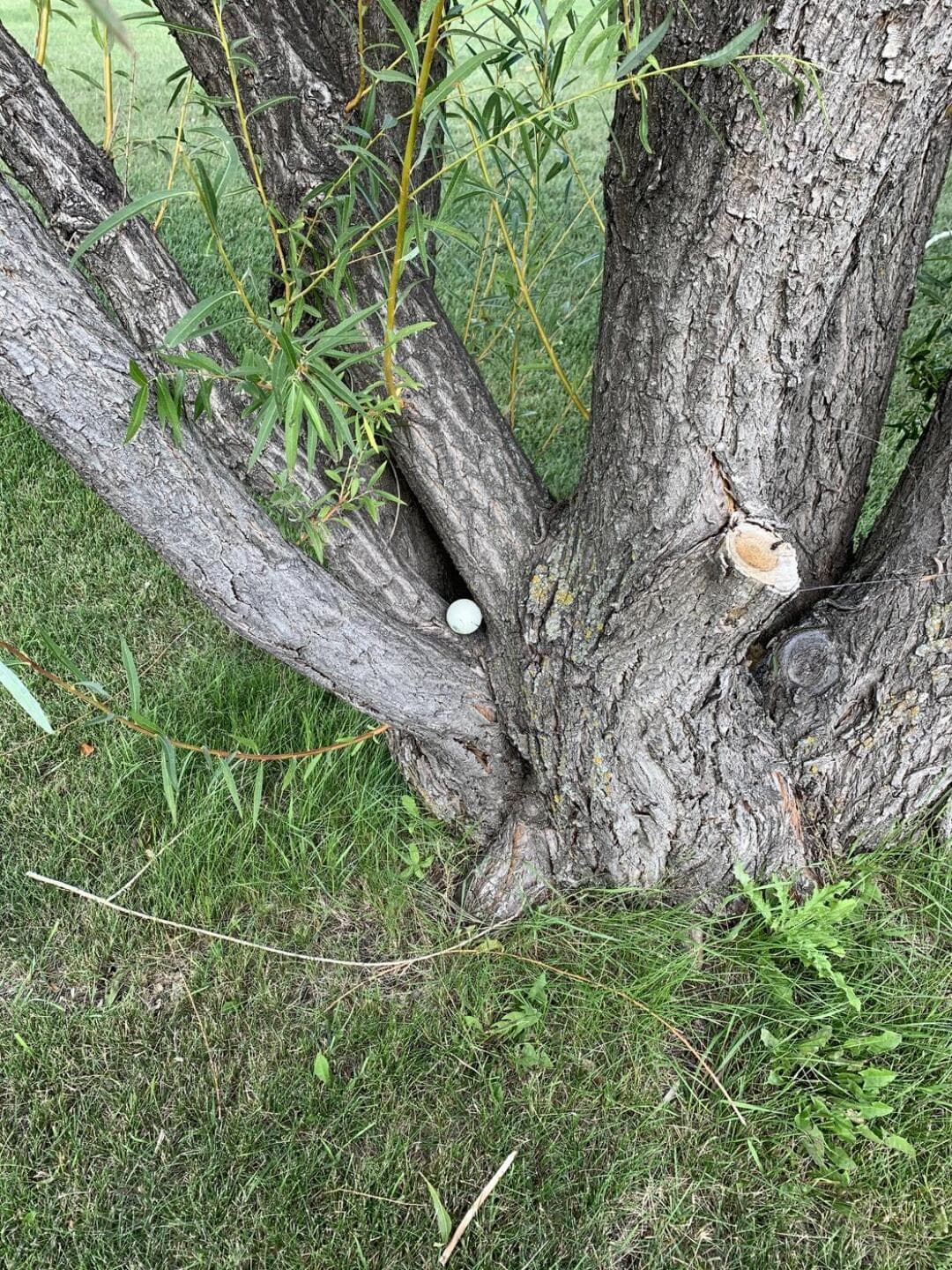 Transcona Golf Club golf course