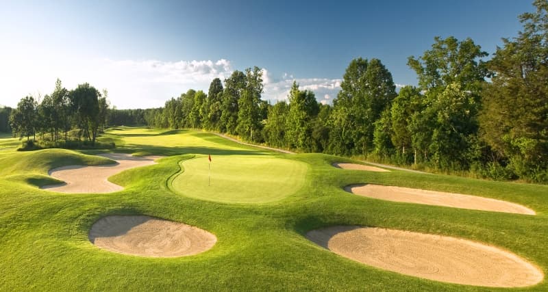 Trillium Wood Golf Club — photo 4