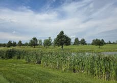 Golf Louiseville — photo 2