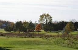 Course Image 3