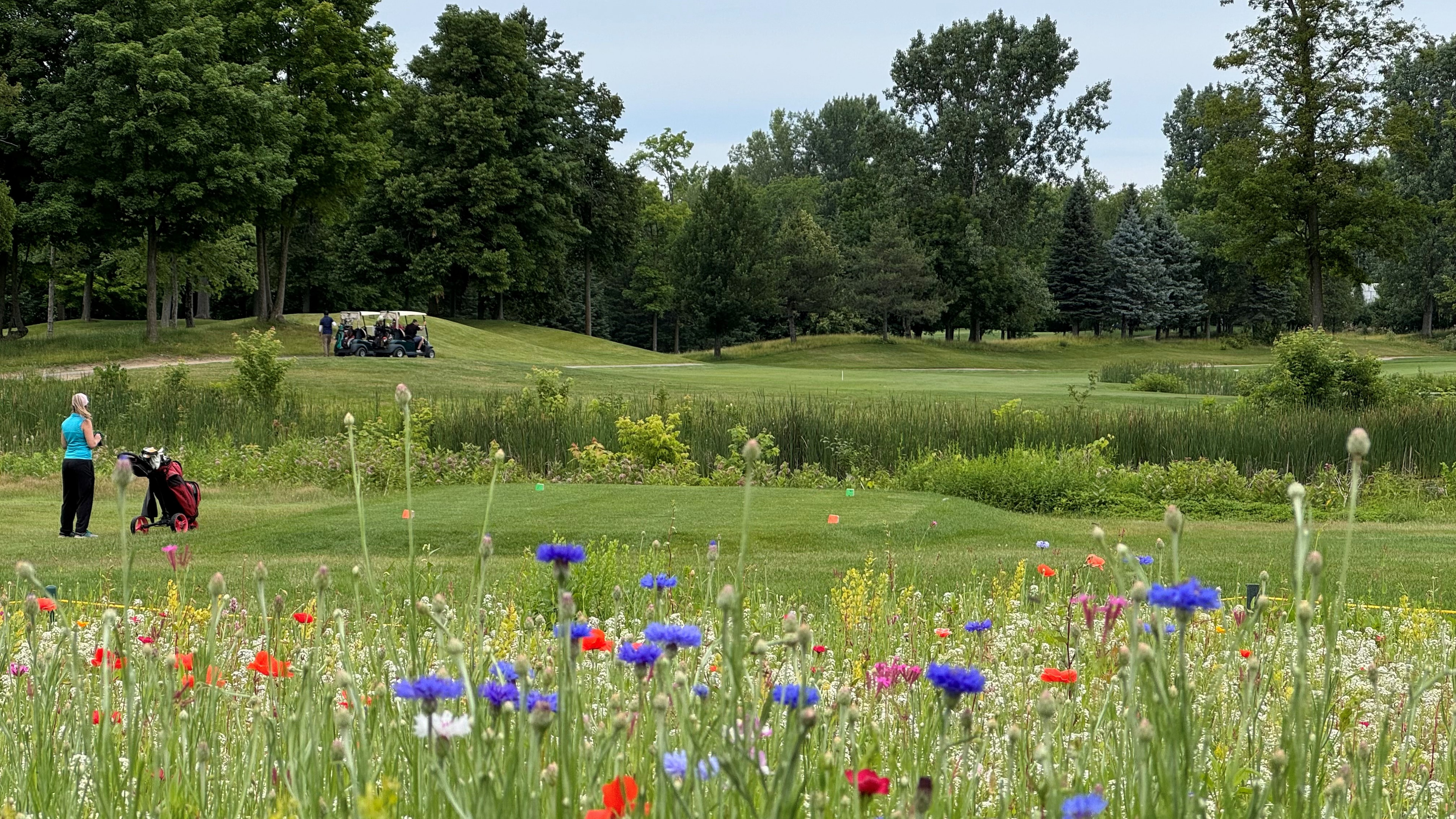 Ste-Rose (Club de golf) golf course