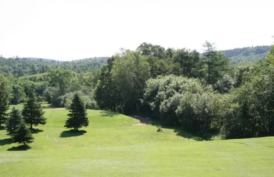 Welsford Golf Club golf course