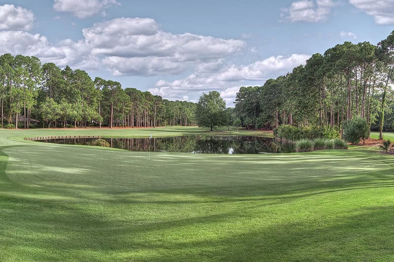Dolphin Head Golf Club golf course