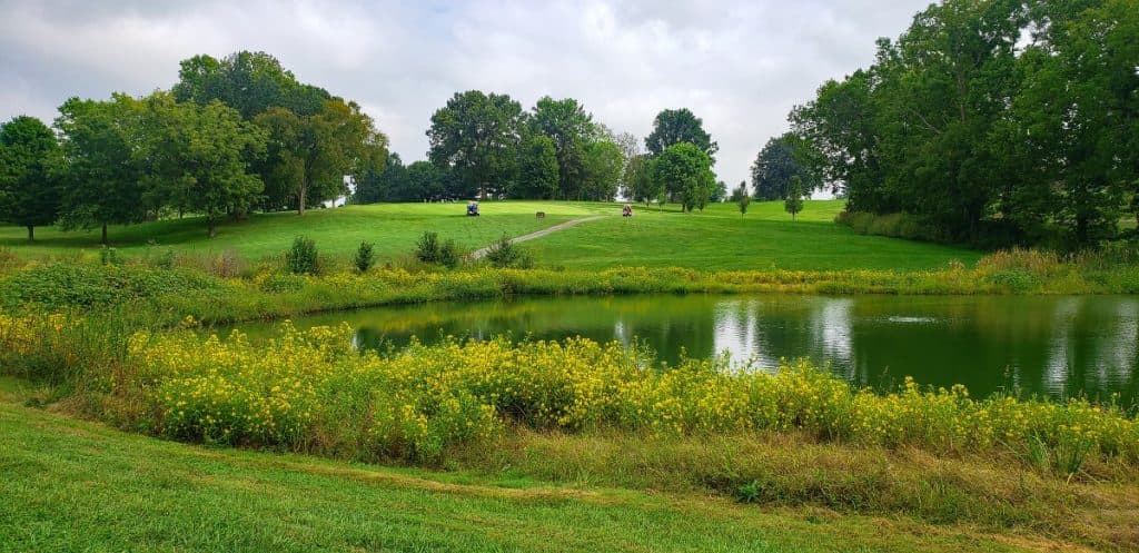 The Woodford Club golf course