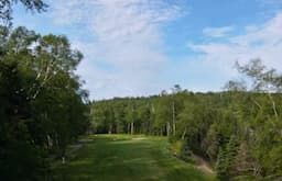 Course Image 3