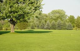 Course Image 1