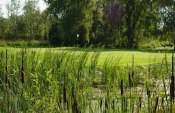 Course Image 2