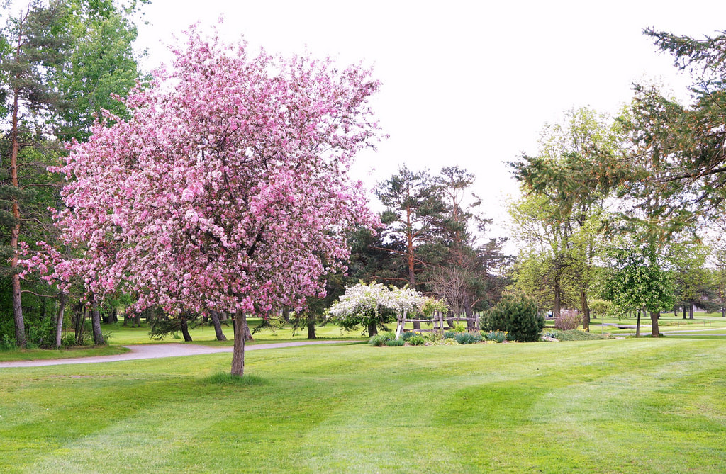 Cornwall Golf & Country Club golf course