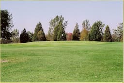 Course Image 1
