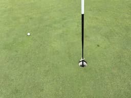 Course Image 1