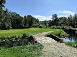 Course Image 1