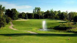 Course Image 4