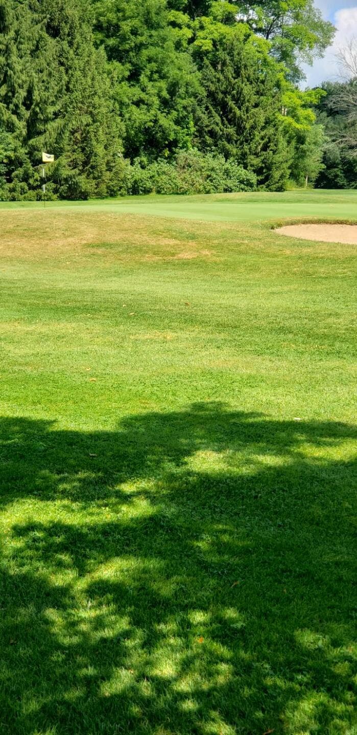 Dundee Country Club golf course