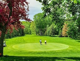 Course Image 1