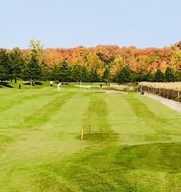 Course Image 1