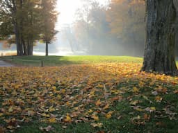 Course Image 2