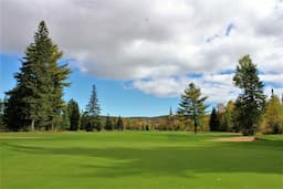 Course Image 1
