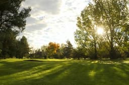 Course Image 2