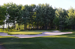 Course Image 2