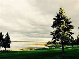 Course Image 2