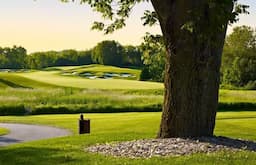 Course Image 2