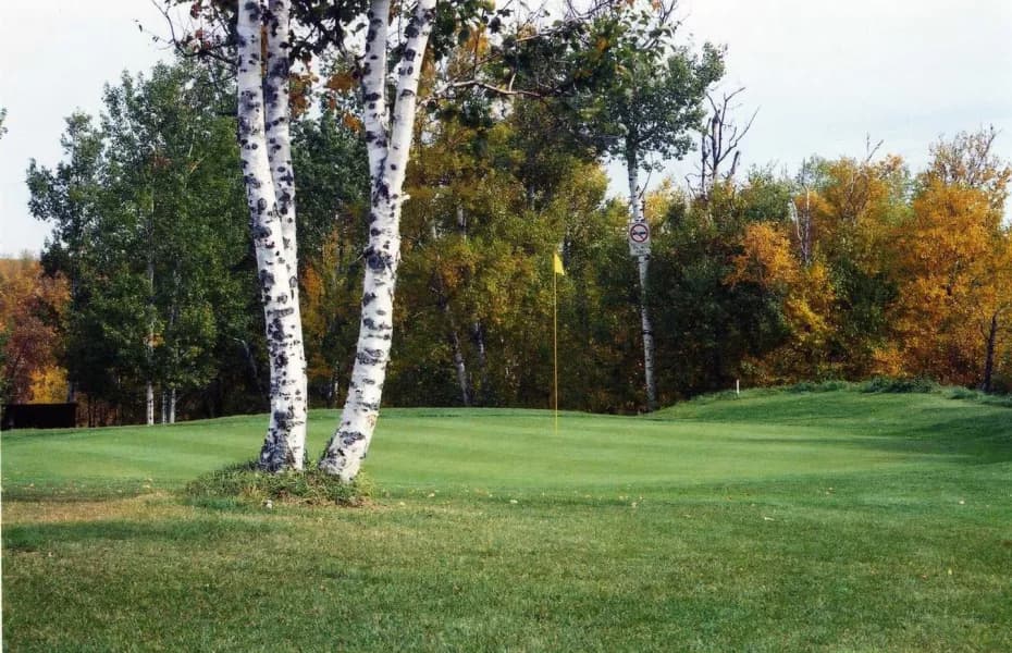 Lee Golf Club golf course