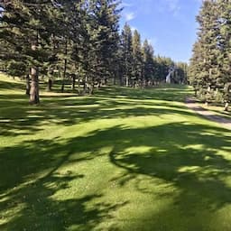 Course Image 1