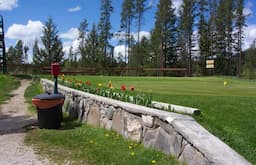 Course Image 1