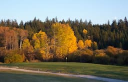 Course Image 2