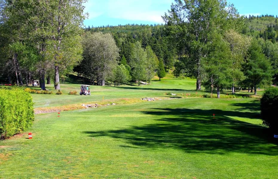 Muskoka Bay Resort golf course