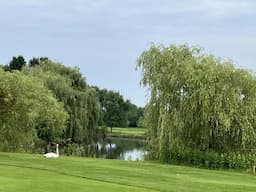 Course Image 1