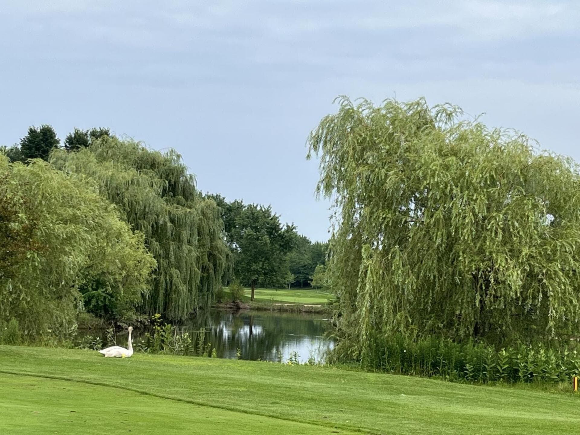 Millcroft Golf Club golf course