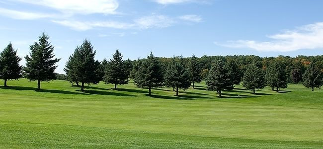 Pine View Golf Course golf course