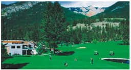 Course Image 1
