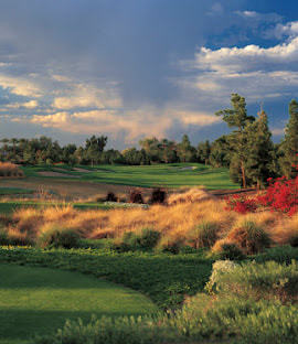 Raven Golf Club - Phoenix golf course